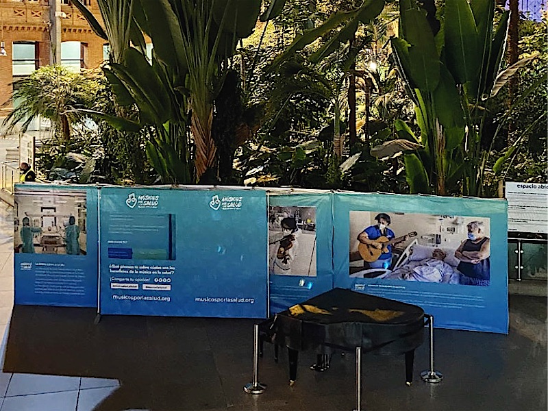 Exposición de paneles impresos entre las plantas del jardín tropical de una estación de tren.